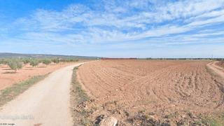 Propriété à Valdepeñas. Extensa finca de labor, llana y con edificación