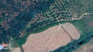 Propriété à Hernán - Pérez. Olivar para consumo propio, uso recreativo.