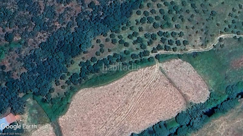 Foto 687736b9-1b59-45b8-a5ac-4ef1bdbdab22. Finca rústica olivar para consumo propio, uso recreativo. en Hernán - Pérez