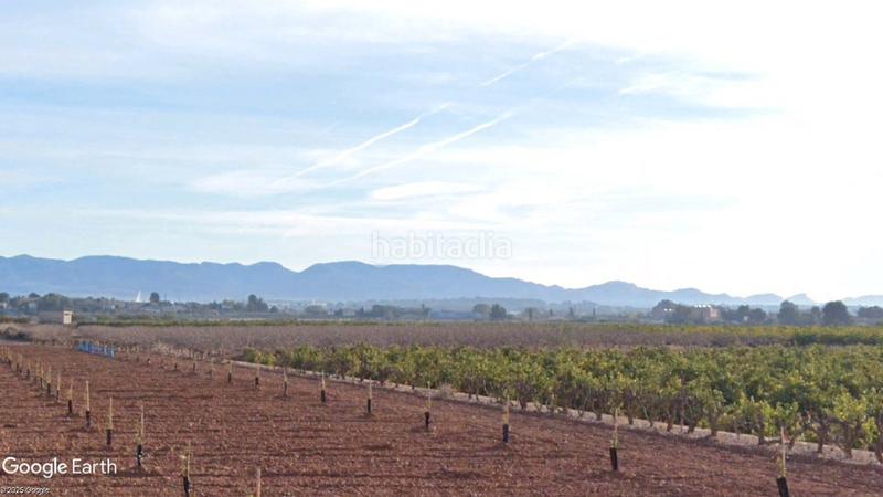 Foto 089238fa-8d27-4346-b08f-7a5b563686a2. Finca rústica a polígono industrial andoriñas 16 a San Miguel de Abona