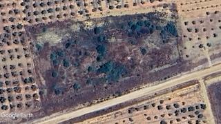 Finca rústica a Navalvillar de Pela. Labor regadío para plantación frutal.
