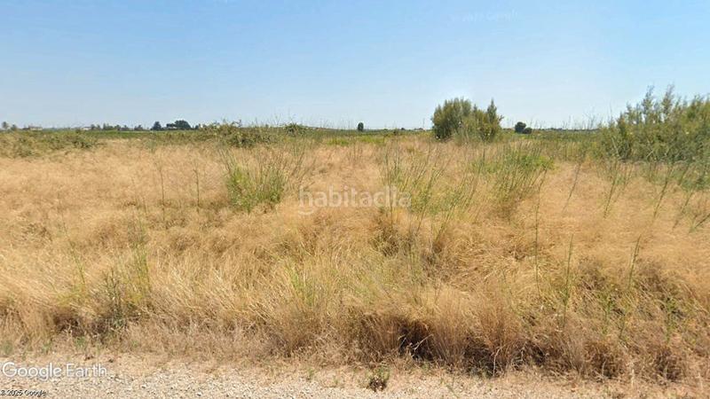 Foto 914a71a3-2b73-483f-a4b7-6eab930e4811. Finca rústica a Guadassuar