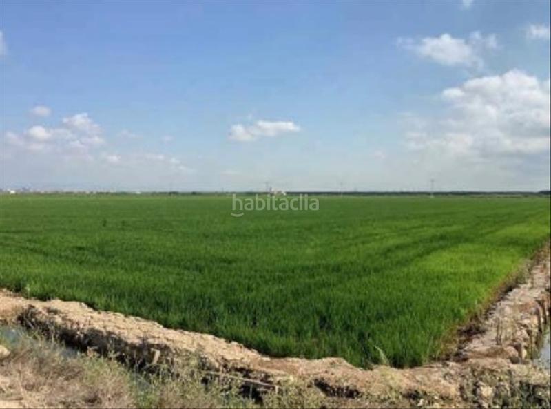 Foto 04f7138a-feb2-4dc9-8599-ac9fab3b36c1. Fondo rustico in Catarroja