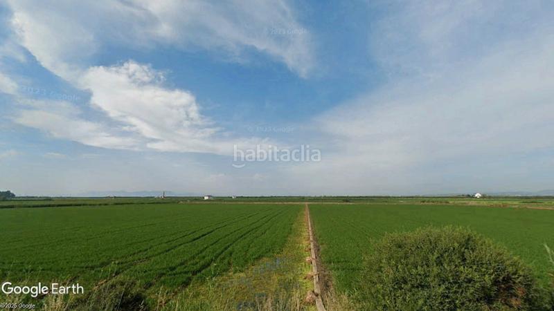 Foto 4a3b66de-35b6-4900-b4d6-b0009558fbfe. Fondo rustico in Catarroja