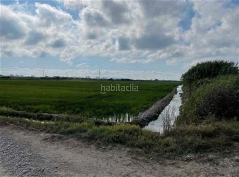 Foto 5b22171e-ef03-43ce-bd4c-e041fda57242. Fondo rustico in Catarroja