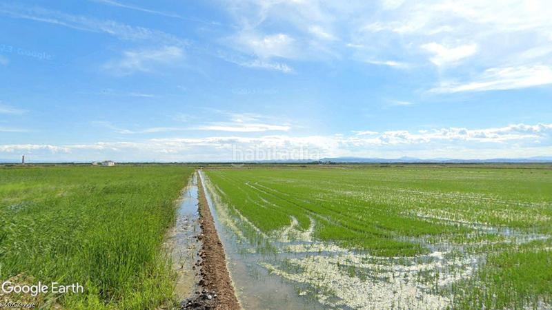 Foto 75407a8f-1d25-4561-a4c2-07796d5f84ae. Fondo rustico in Catarroja