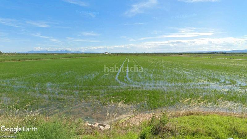 Foto c7abe5aa-1f9c-4685-8017-dcf0ed21a910. Fondo rustico in Catarroja