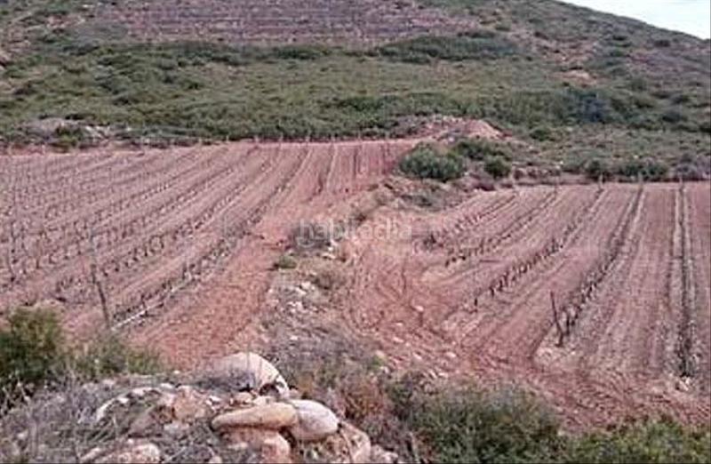 Foto 0a88357d-bae6-462d-bc45-937650324173. Finca rústica a Navarrete