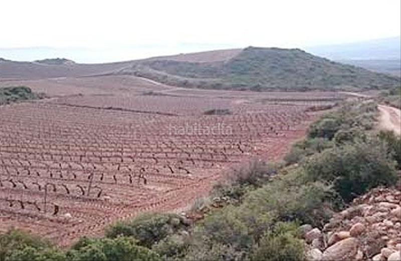 Foto 4fb03a2f-ff01-42b3-b757-9f97df60e012. Finca rústica a Navarrete