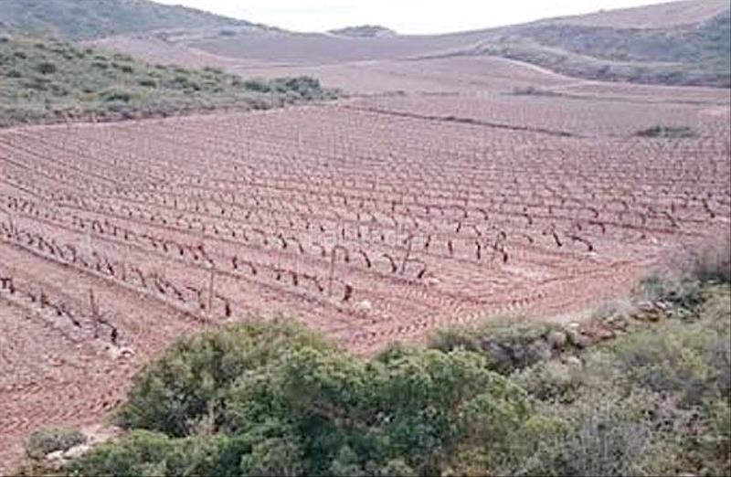 Foto bf3a4858-62ac-4c58-9ab7-9f4e25368ab7. Finca rústica a Navarrete