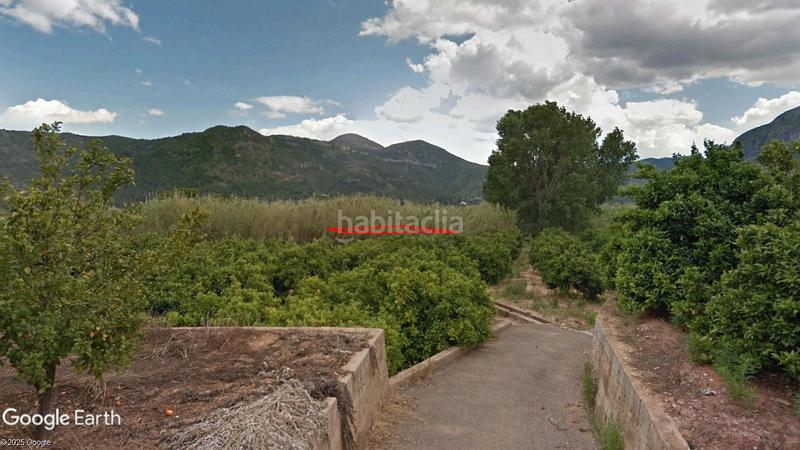 Foto a6669a97-2c62-486d-ab8e-76e83ff94f13. Finca rústica a Simat de la Valldigna