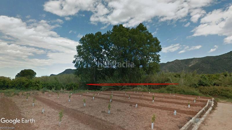 Foto aab7420d-a626-46d2-863e-b3be0bb289ab. Finca rústica a Simat de la Valldigna