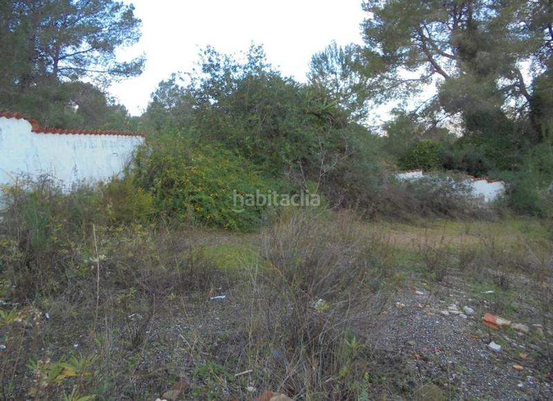 Foto 8066c970-0680-46fb-809c-40c380a05af9. Finca rústica a Xàtiva