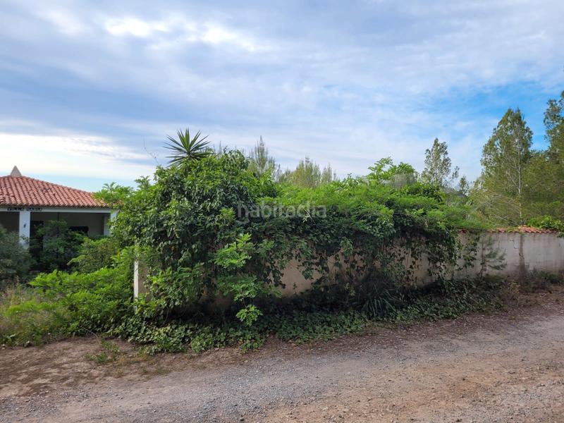 Foto e5bc890f-40fb-4476-8eeb-d20b73ca66d5. Finca rústica a Xàtiva