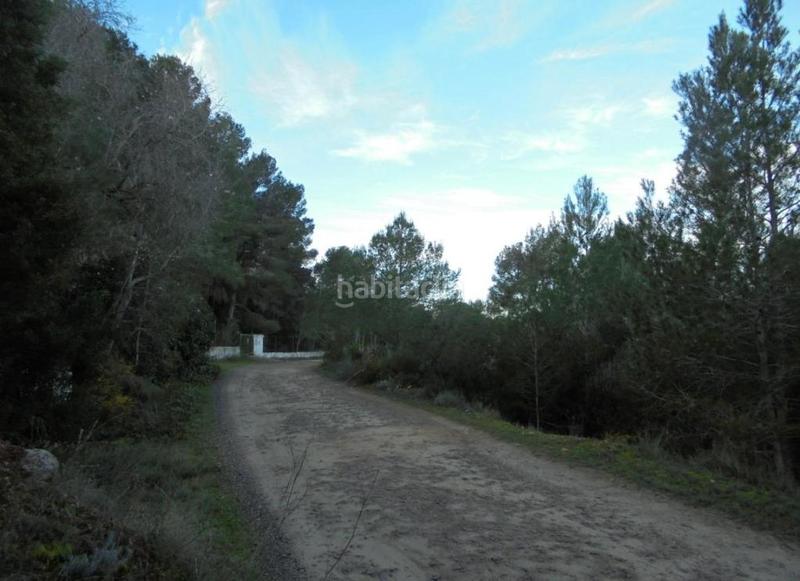 Foto f4a60e46-5d5f-41b7-84ee-0f5f894fa5ca. Finca rústica a Xàtiva