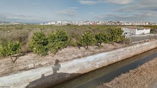 Finca rústica a Alberic. Parcela de agrios de regadío con posibilidad de vivienda.