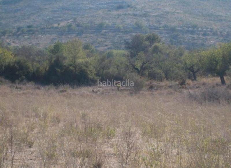 Foto 16e83122-0a2d-4068-8cf4-581e107da2a9. Landgut in Llombai