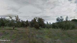 Finca rústica a Poligono ue 4 11. Finca de olivar regadio opcion vivienda