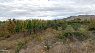 Finca rústica a Morata de Jiloca. Parcela regadío, recreo