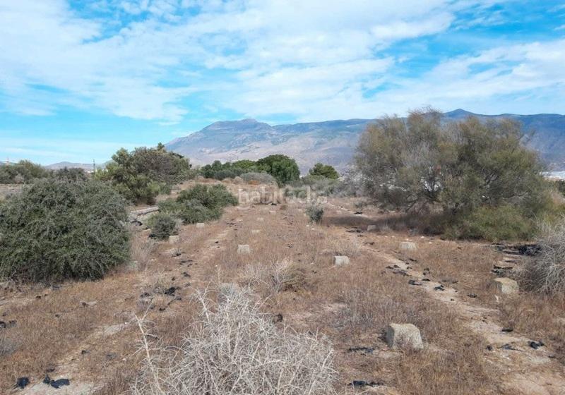 Foto eb707cac-3691-44e9-a7f1-10a9f0bfc051. Terreno residencial suelo urbanizable sectorizado para uso residencial, invernadero en precario. en Ejido (El)