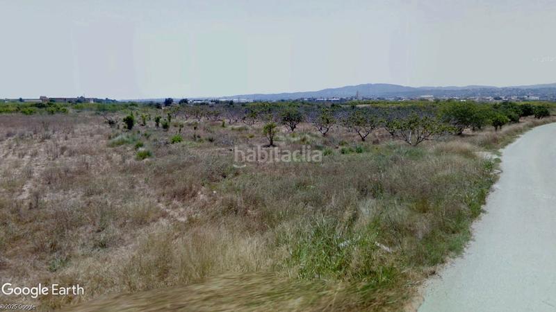 Foto 3a370f21-520e-43c5-8205-07c8621b83c3. Finca rústica a Alfarp