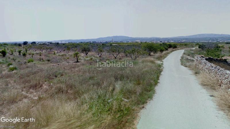 Foto 46752af0-9266-478b-a531-a895ef6c671e. Finca rústica a Alfarp