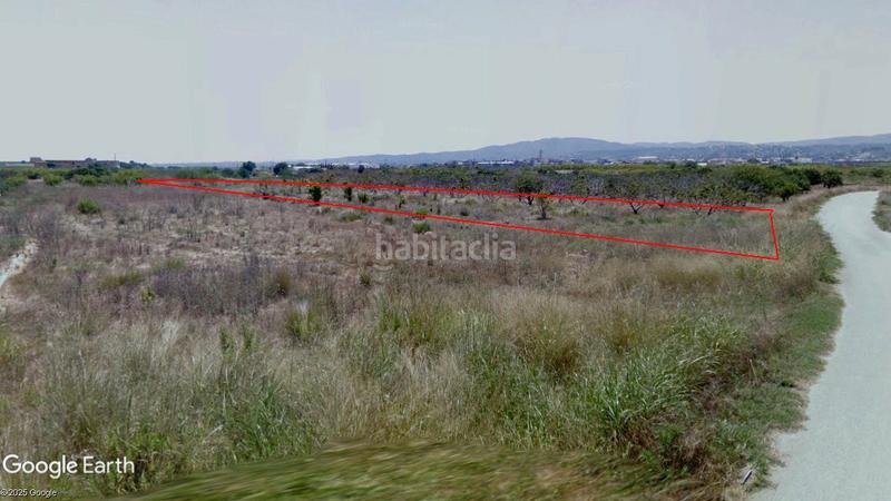 Foto 6c215fc2-ac09-4b0f-99fc-ccfe3d9dd46a. Finca rústica a Alfarp