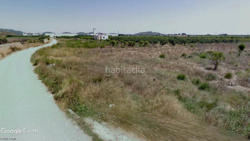 Foto 807f4716-f90d-42f4-a4f8-62e3e0e8a87b. Finca rústica a Alfarp