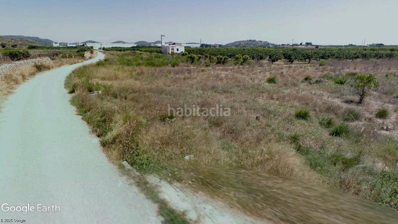 Foto cef195b5-1f8c-4b80-b25b-07a253dbf2aa. Finca rústica a Alfarp