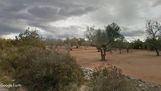 Finca rústica a N/a. Finca de olivar con vivienda a rehabilitar
