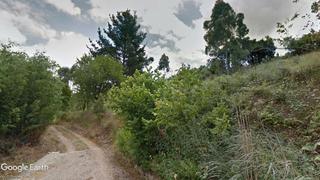 Finca rústica a Caserio viado 6a. Parcela de pastos y arbolado, buen acceso para uso forestal y ga