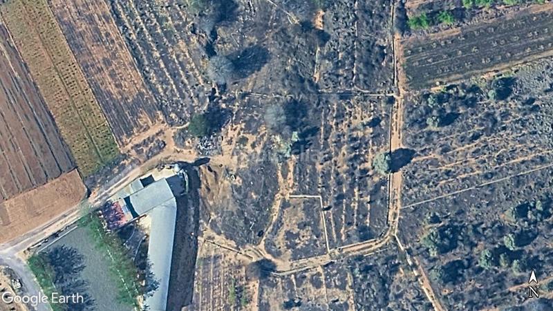 Foto 991ddd73-5a4a-4d2c-b59e-e809fe91bc8e. Finca rústica a Alfarp