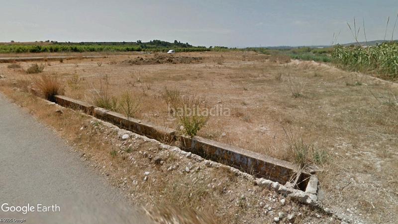 Foto 65bcf8a2-8bed-4ae1-8880-6406b95f8a19. Finca rústica a Alfarp