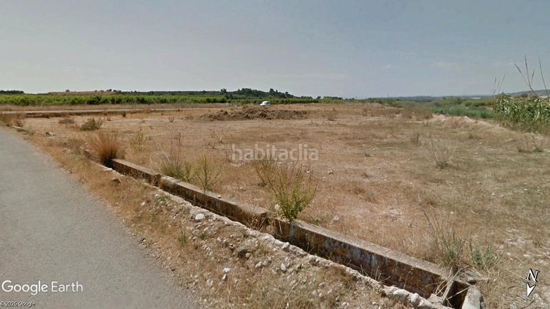 Foto a3e2f5d3-3cce-49bc-94ee-d3f7b989ca47. Finca rústica a Alfarp