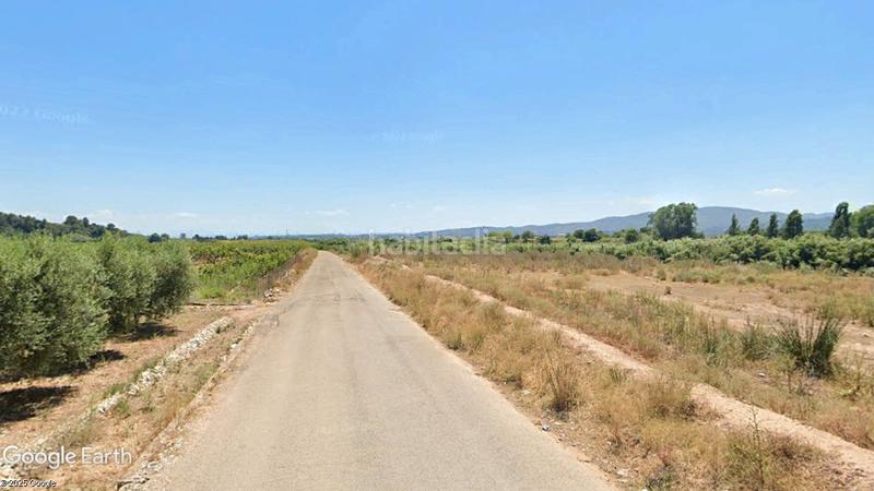 Foto ecd13e3d-e6d4-4e27-8742-7a1743dd55a9. Finca rústica a Alfarp