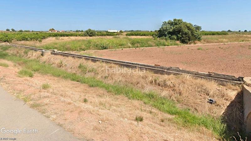 Foto 1468b3ad-037d-4439-a006-e7b813243a5a. Rural plot in Chilches