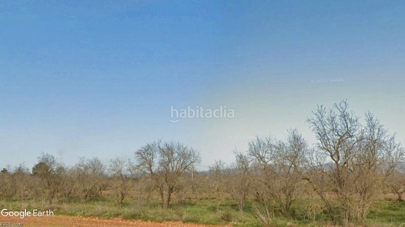 Foto 9f216f68-c91c-4b04-aec7-0e4a6754164f. Propriété dans n/a dans Vall d´Alba