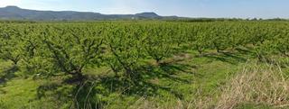 Finca rústica  Camí de fraga. Parcela agrícola regadío para recreo.