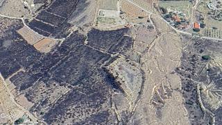 Finca rústica a Pedanías Este. Extensa finca para plantación frutal con posibilidad de contruir