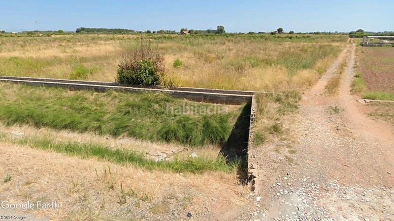 Foto a8a32155-3a13-4866-9349-96d6f4450152. Rural plot in Chilches