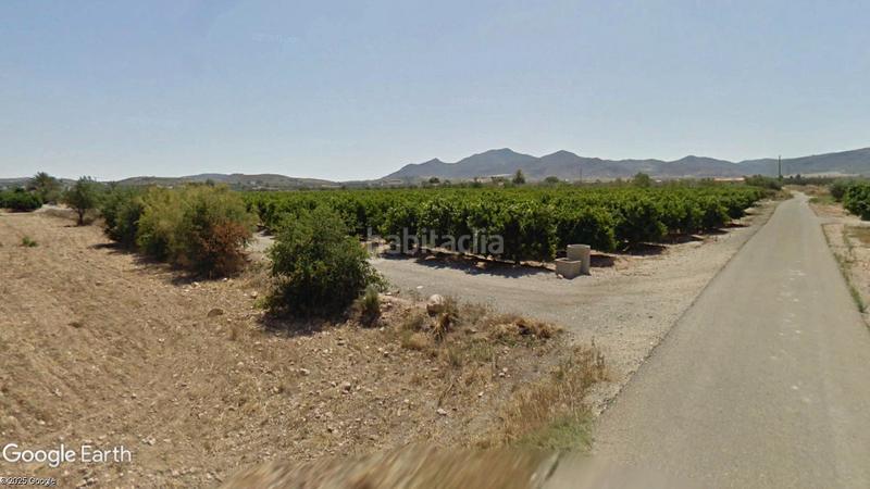 Foto 48fb4088-8e6c-4d02-8968-e590f9303afd. Fondo rustico in Huércal - Overa