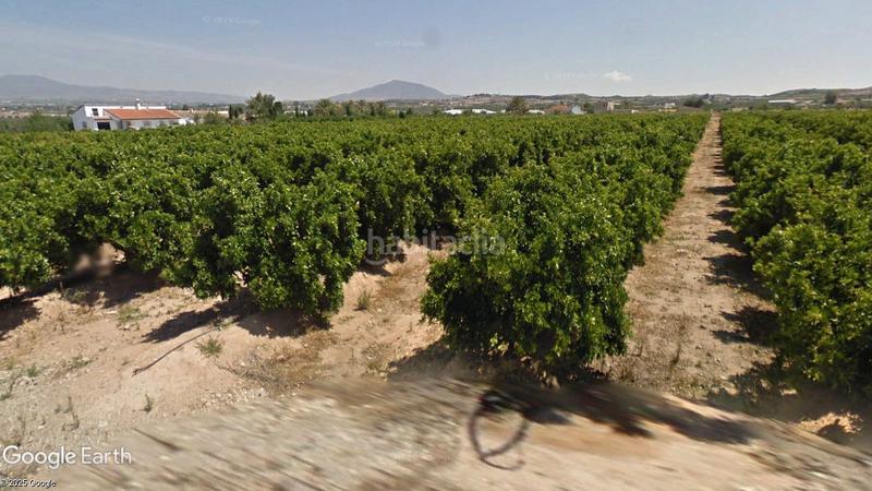 Foto c2c0c715-a0fe-432f-88a7-4bd1a2b3666c. Fondo rustico in Huércal - Overa