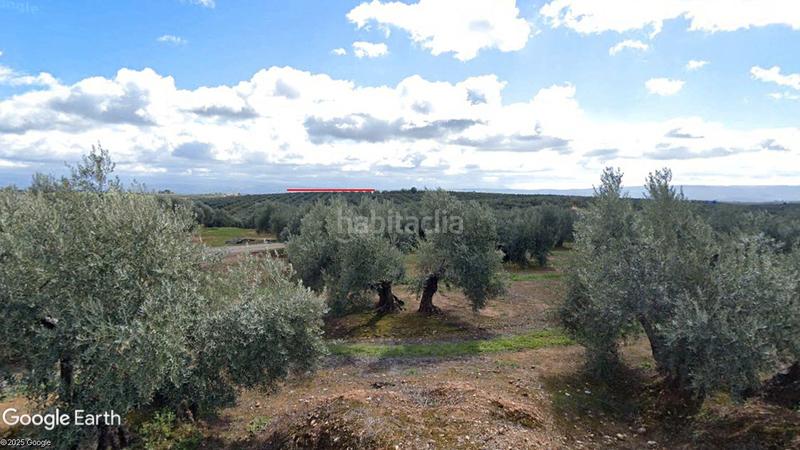 Foto 0eb3ed8e-633a-474b-96da-6c806a8f5939. Rural plot in Santisteban del Puerto