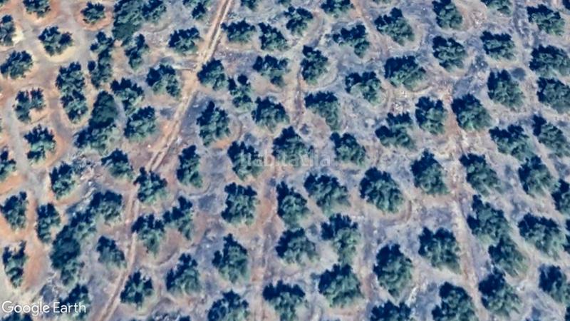 Foto 1a1133aa-533f-4e95-8c49-078901ecd7aa. Rural plot in Santisteban del Puerto