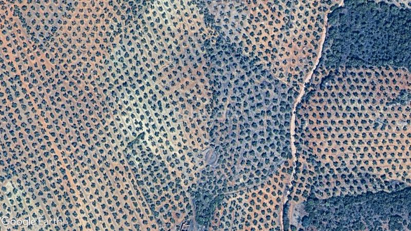 Foto 9d63fc66-22b3-4e3b-8315-d459f649b75b. Rural plot in Santisteban del Puerto