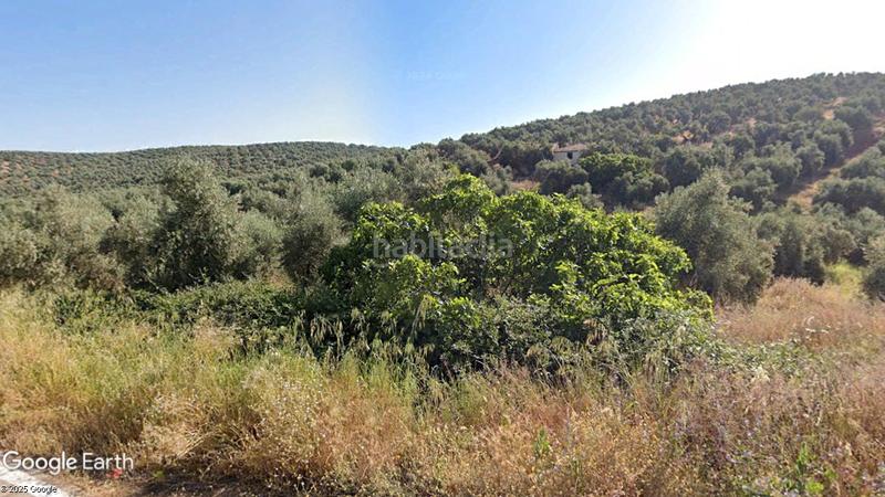 Foto 96a604fb-0ee0-4136-a004-db46dfa4b694. Finca rústica a Santisteban del Puerto