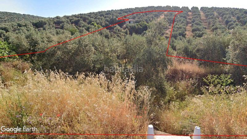 Foto b56c5020-ad59-4dd4-8d35-40c1f7573f1d. Finca rústica a Santisteban del Puerto