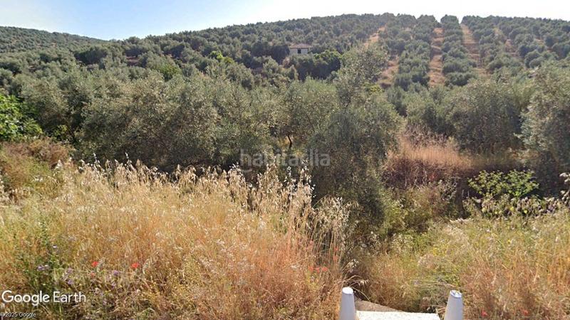 Foto ca12a34c-687e-4d4f-870e-8a7a54488e2d. Finca rústica a Santisteban del Puerto