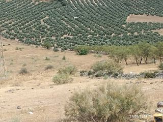 Rural plot in Castellar. Parcela en las inmediaciones del pueblo, posibilidad de nave agr