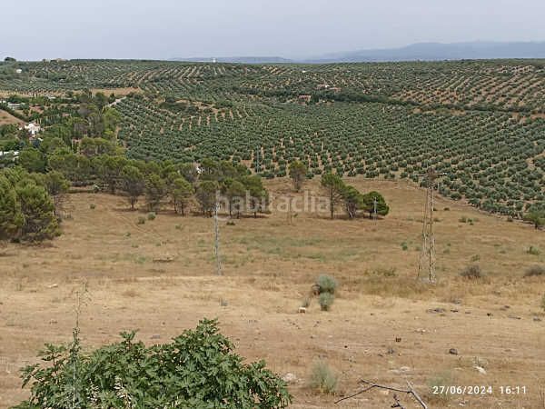 Foto 789a8c44-8b34-4d41-bb91-4a113a69f1fc. Finca rústica a Castellar